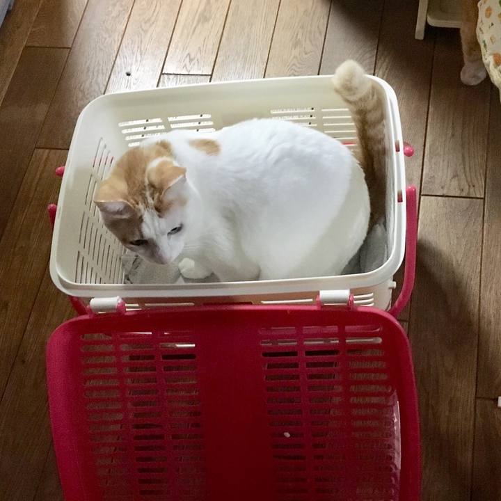 Abb5ad99 898f 47d1 a624 3e73e615c5dc 1515888289321