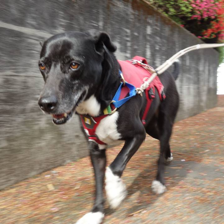 Abb5b456 4c67 41e8 9e1e 8a19c0ea95ee 1680914249745