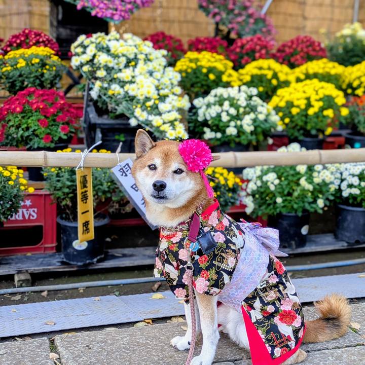 Abb60b02 6482 497c 8848 af758bd7ebe3 1762997235175