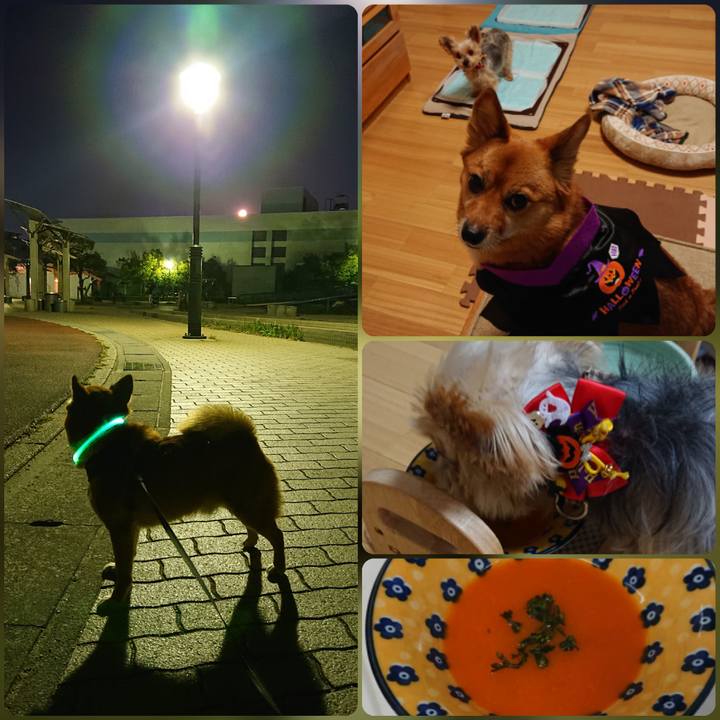 Abb65c02 59d5 4027 835e ecd2af4e9e57 1604135699850