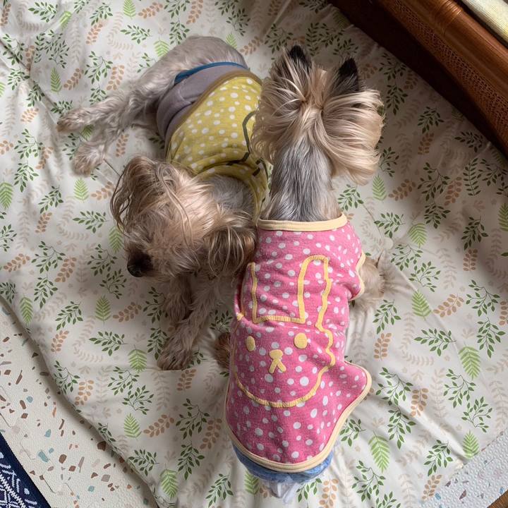 Abb65e13 d6bf 4766 9a72 3c433276c443 1695461826061