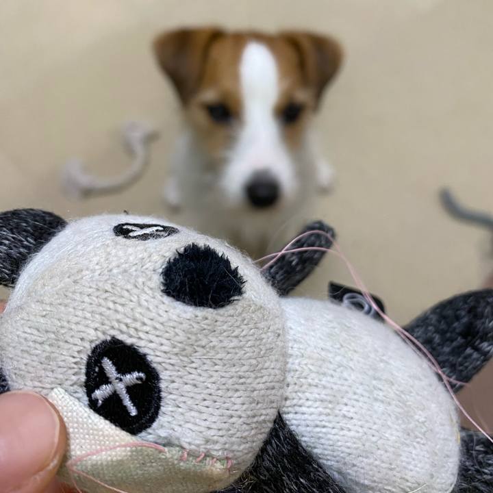 Abb668ac 7c71 4c78 98ce 430c1bba3a31 1673757409960