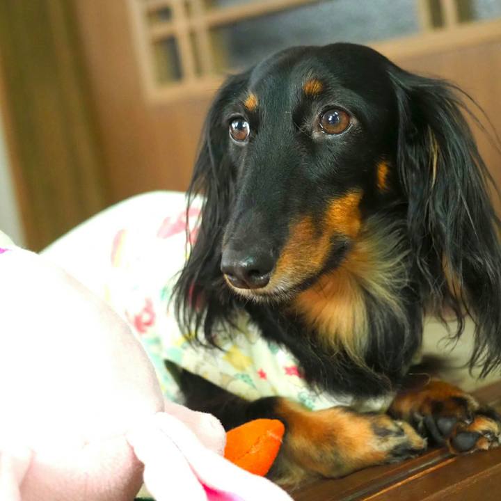 Abb68b0e 1352 418a 89f1 2a9f0287bc45 1533429532633