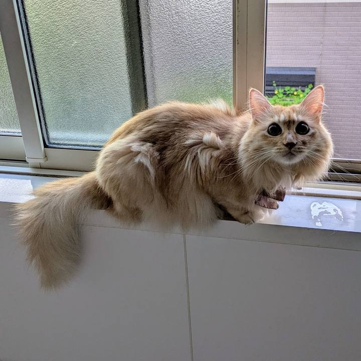 Abb6cb23 6b65 43b7 9f13 1cef2438417f 1725919300373