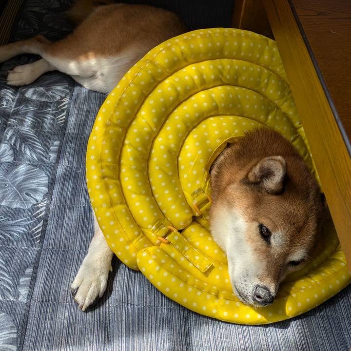 Abb701e8 679b 4349 93f5 29442a7a30d7 1725672185352