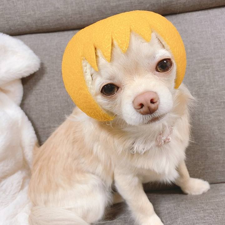 Abb71b41 3492 48f0 9491 19d75f4c5843 1615004403974