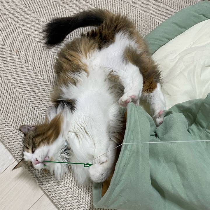 Abb76cf6 276b 4a6f bef0 936be77127bb 1671998916915