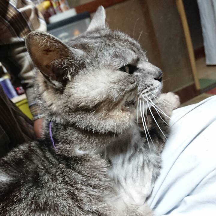 Abb7fd7d 9eaf 4eca a760 ae4b51213ac7 1591212413271