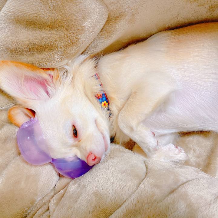 Abb8235f 801e 43eb 8e3f 43b611785ebd 1636636478995