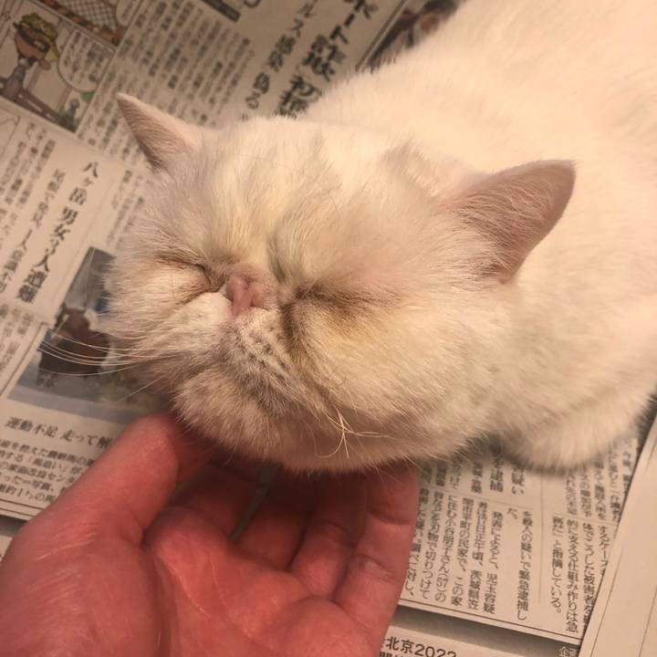 Abb85c71 834e 4bca bafa 534066c47478 1642505938988