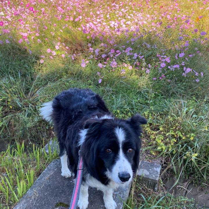 Abb85eb2 ba95 4f35 9d04 cf2a63ed306d 1697934288472