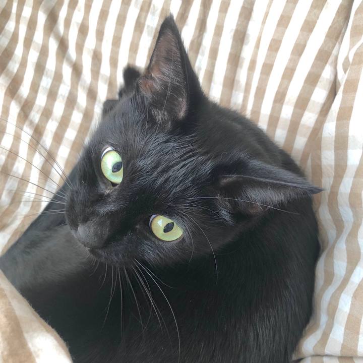 Abb87751 91b7 42bb 801e dd0fcc5ea428 1542113803646