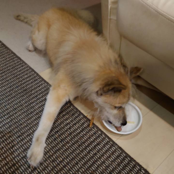 Abb8bca5 899d 4440 a154 7cb01aba80c4 1609416690700