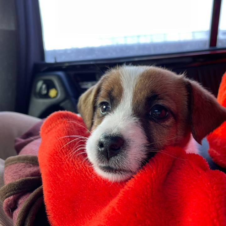 Abb8ec15 38c6 40e6 b225 da39f8e73511 1614422161603