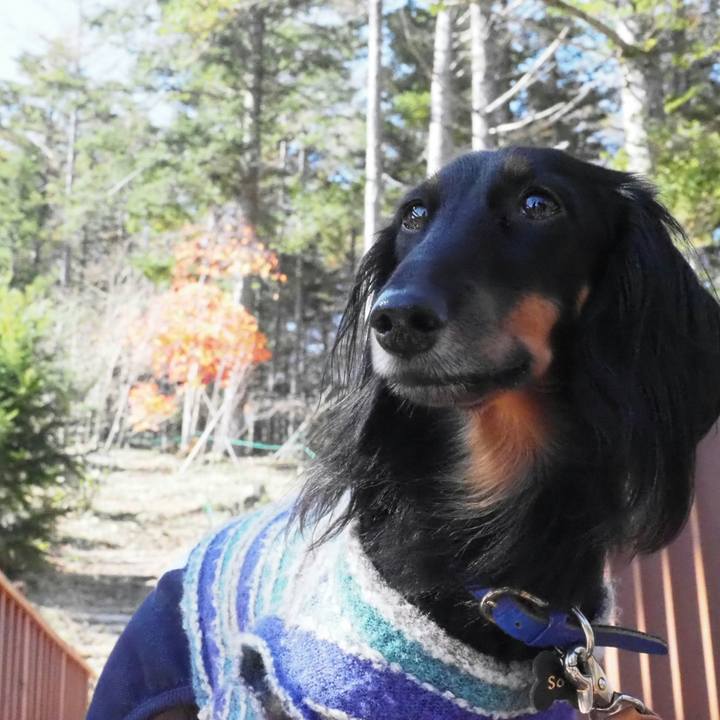 Abb8f1b5 7353 42af bf66 ccd1b9829f38 1540169221153