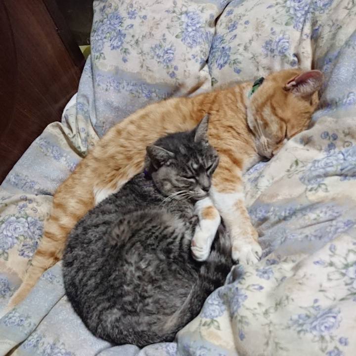 Abb94d3e 5e77 4bde 8bdc efb7d9117807 1582809562656