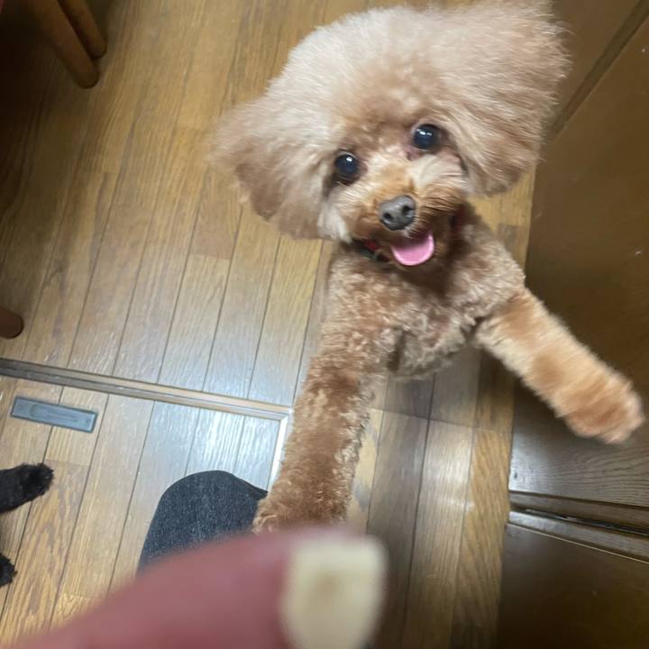 Abb95e36 bfbd 4096 8a9e 82f4b1d1190f 1640408815265