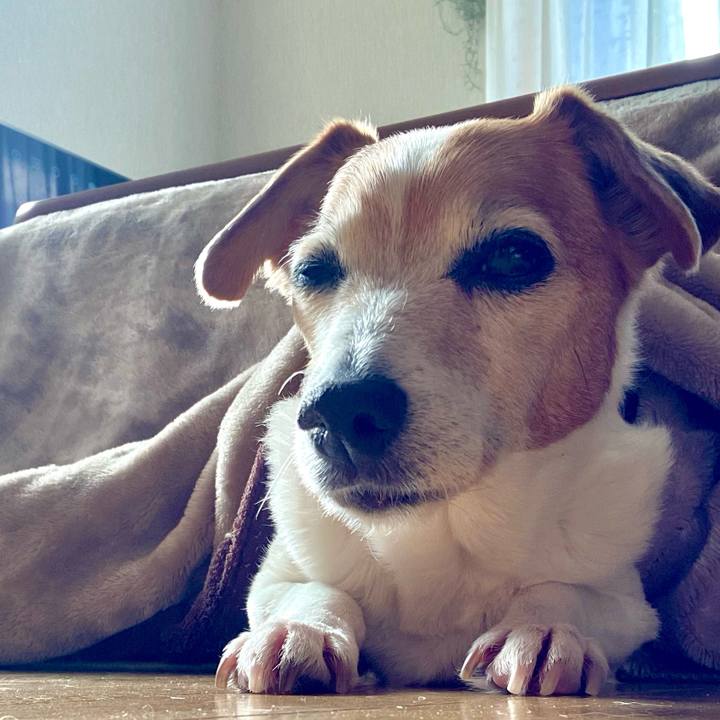 Abb97073 3b12 4ab9 9f64 a0e9ec30ff41 1702555334431