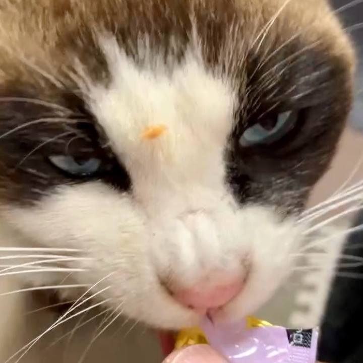 Abb97df8 fa05 4085 a637 807d84c08c3e 1739757628671