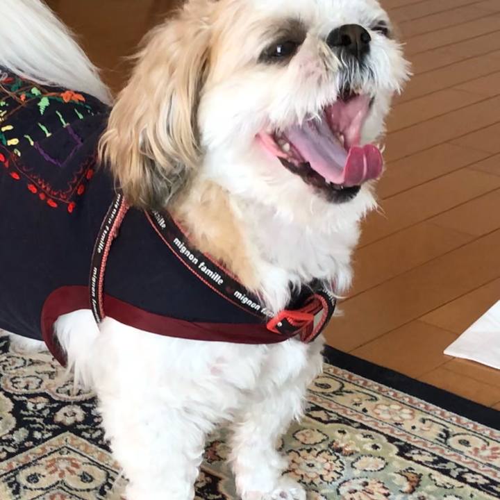 Abb990e7 f238 4eca b46b fb4fdf6e226a 1607637625712