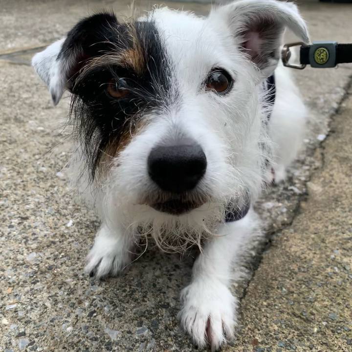 Abb9d649 7abe 4d68 9c5a 17371fc715a6 1655857560165