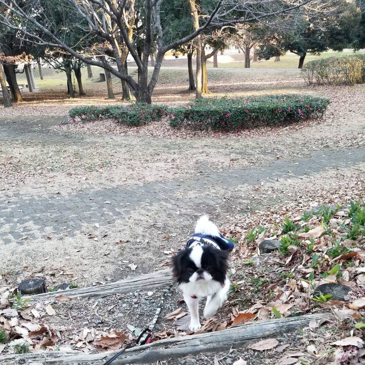 Abb9def1 a7fa 4a0f a01d 58a92591ef1e 1640514554711