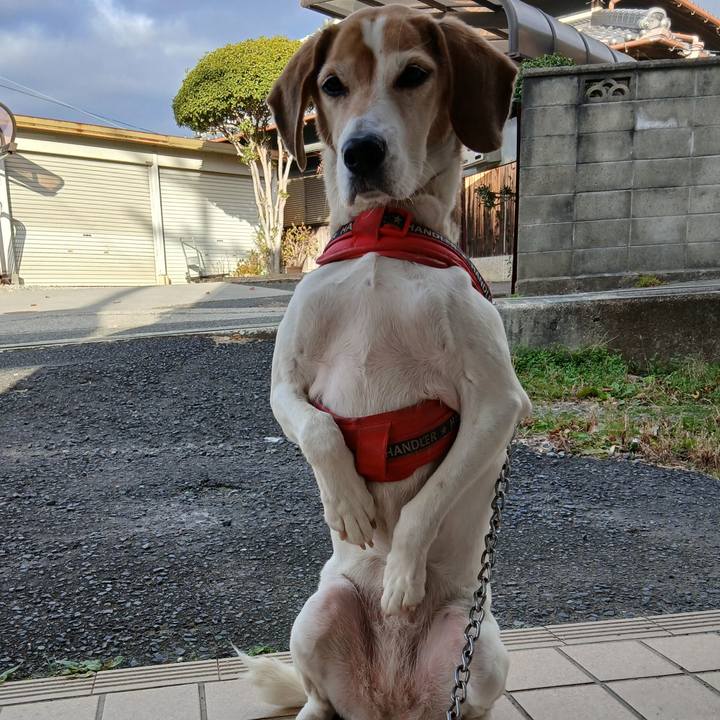 Abb9e0de e665 4b54 b2b9 bfc8d90f617c 1765519836234