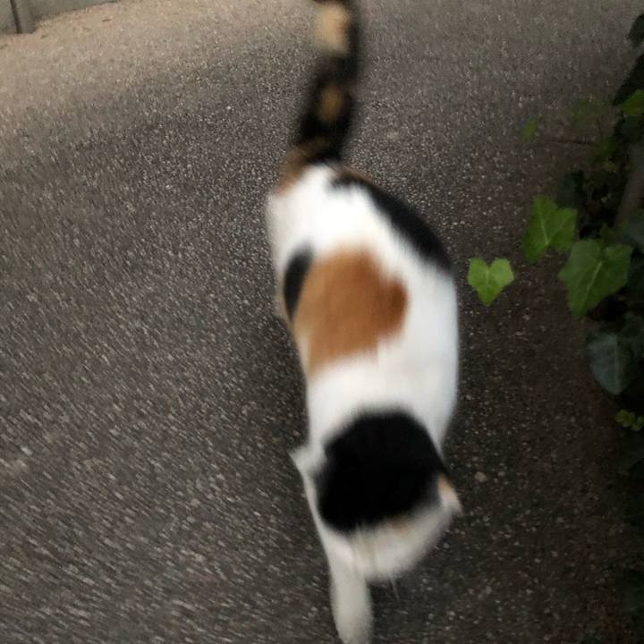 Abb9e1d8 be09 49a7 b27a e43c25e5b909 1608071214973