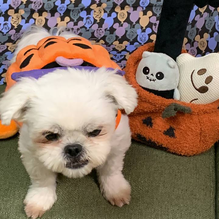 Abba14e9 76a9 4bc7 99d4 9aad365620b1 1667223289439