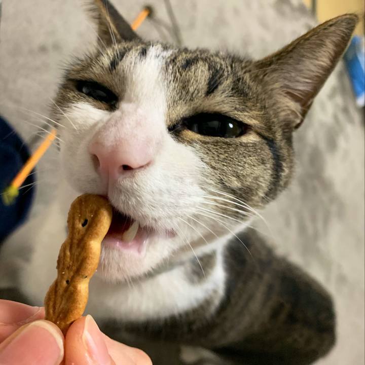 Abba2dc9 a6d3 4d53 b4bf fdb780606a0d 1550848196181