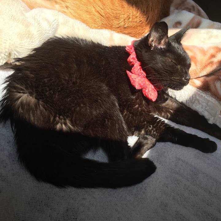 Abba4623 30f6 476a 9740 6462343d93ab 1562938961098