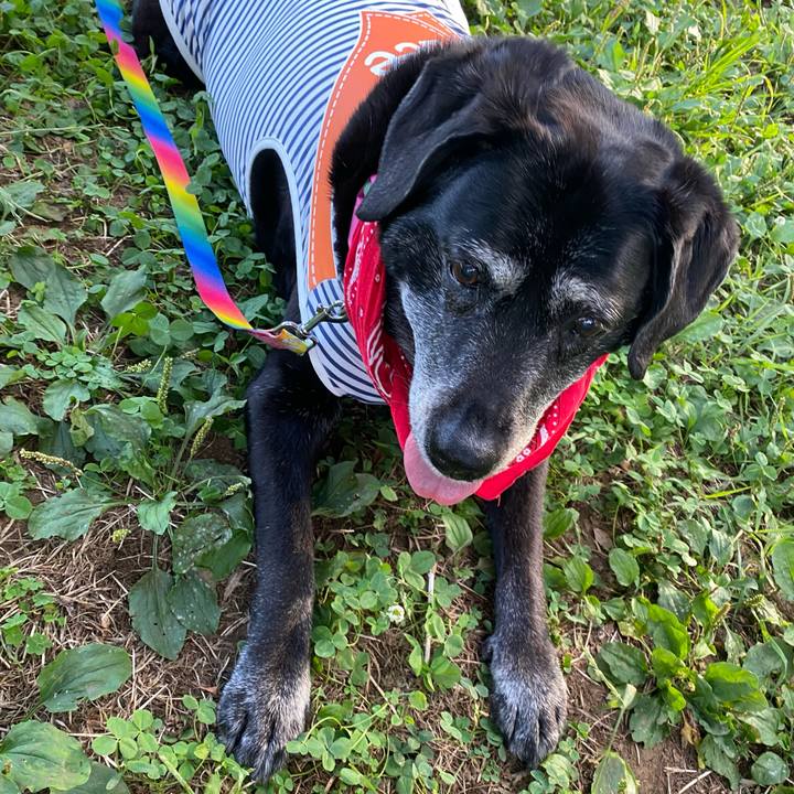 Abba478f 9190 4f68 bb65 997bed6d231c 1688632502800