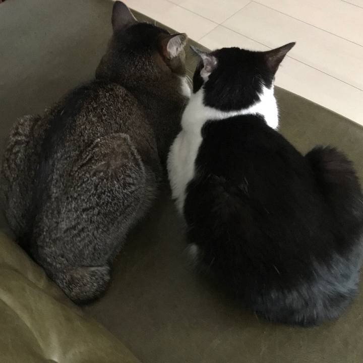 Abba5922 6184 4ab2 b6f7 25b7dc4a97b1 1546256006624