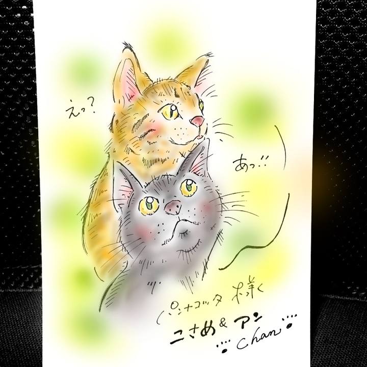 Abba6853 ee0b 404e a528 175b743e46ad 1569174175209