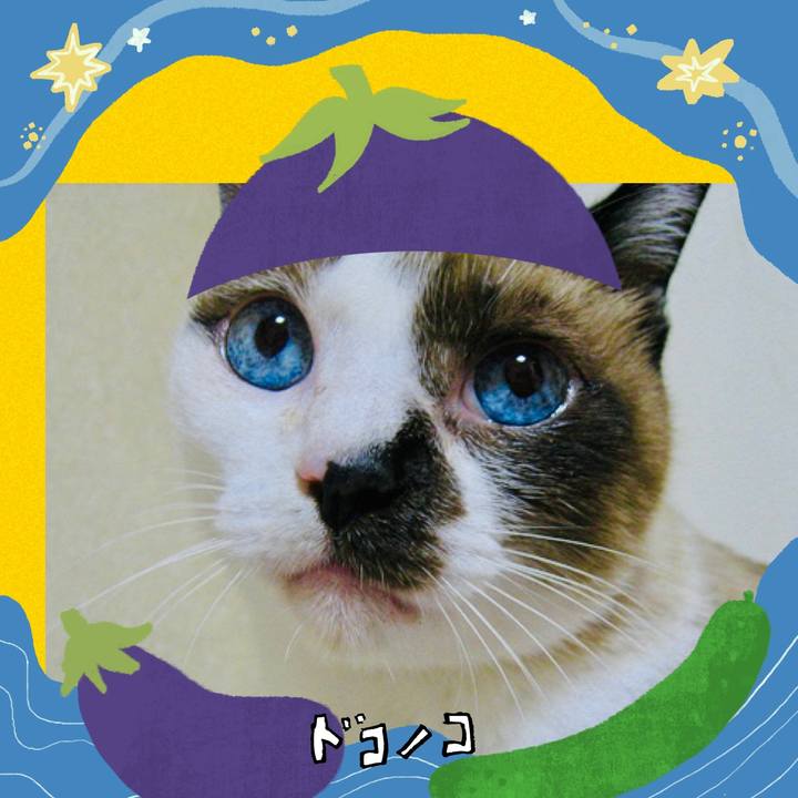 Abba7c55 9d3d 4a6a b065 132ff98c2ff3 1755224108768