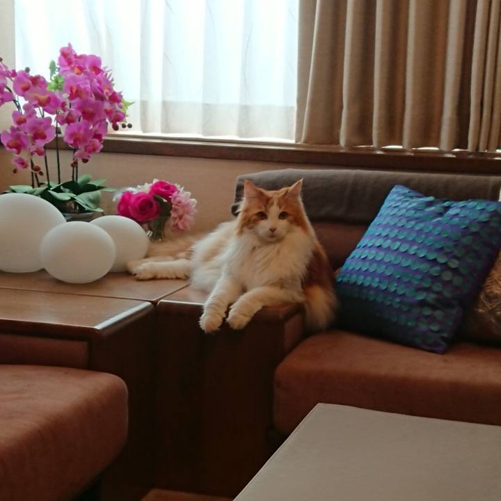 Abba9732 d054 4dc1 be8d 2061bac57810 1590399280973