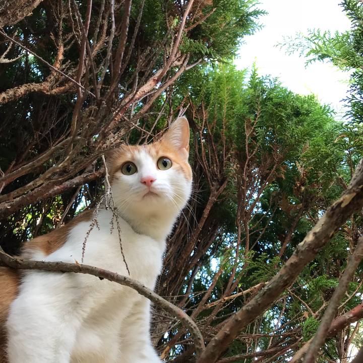 Abba9caf 04f7 4e29 aa54 4ab242ec4a2d 1510802170229