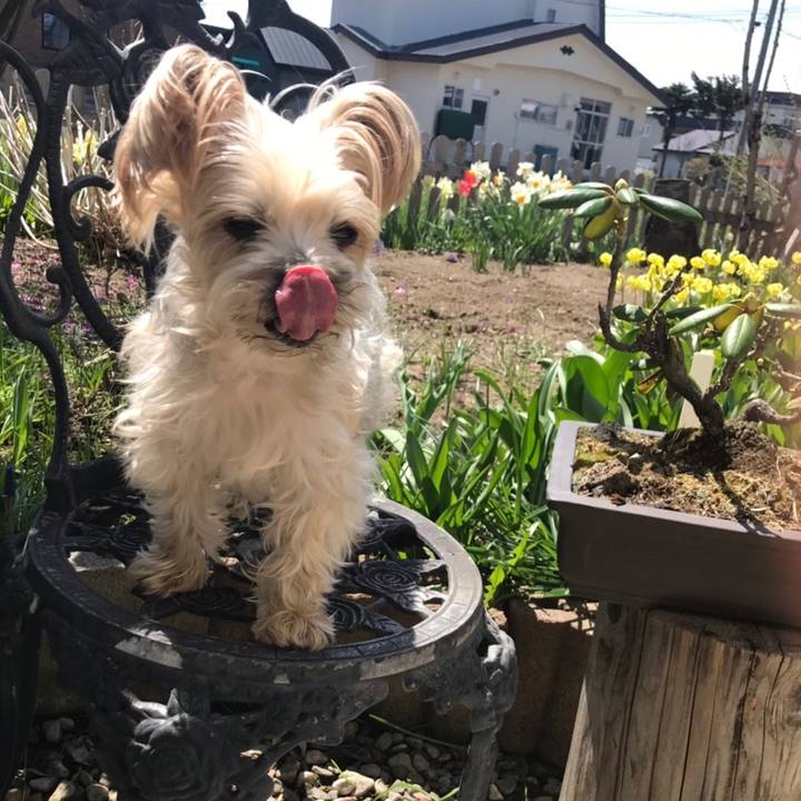 Abbae610 f59a 4802 9cfe 4f660f6b9f2a 1557306242238