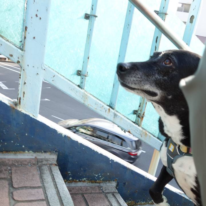 Abbb34d0 1450 4e1b b9a5 a7270afa6b46 1742948147475