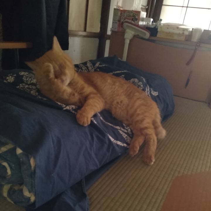 Abbb55f2 0774 401c ab1f 24e2420ff1d7 1694562564006