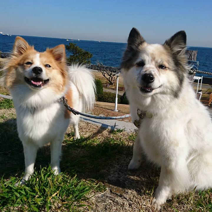 Abbb7607 4fb8 4247 bae5 aa257d19f810 1581166851593