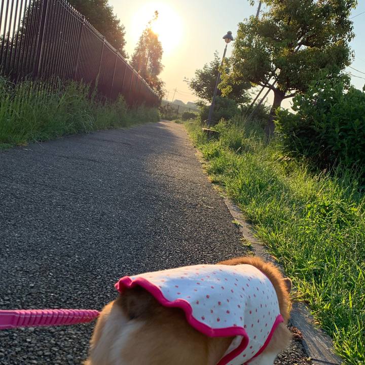 Abbb8b63 f0aa 4bd3 a1ab 2f267b9c659e 1590700247418