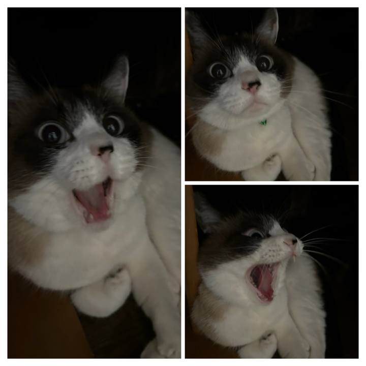 Abbb923b a977 48de b8e0 bbbefb2235e7 1762905334712