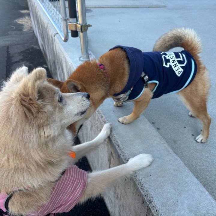 Abbb9623 4b33 469b b207 a9068d1fc0a7 1764628872803