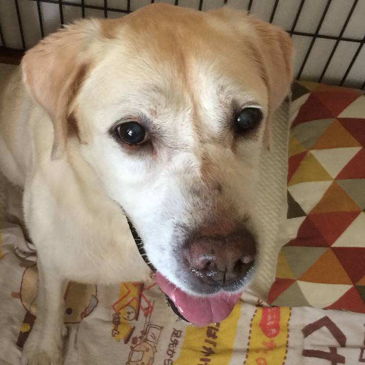 Abbb9717 a697 4d58 ab9f 98f6c601263a 1555068465805