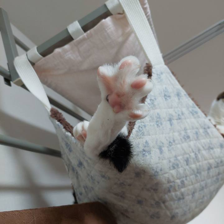 Abbbca03 7a01 44a6 83ed 5cca6d186369 1716845910640