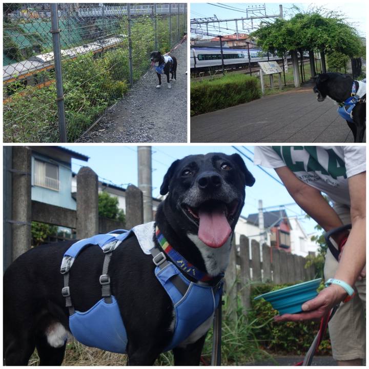 Abbbdc9d 22ea 4f41 a352 d9645246c51e 1691801505501