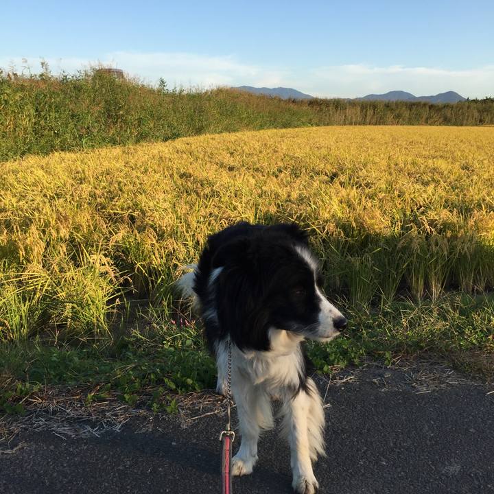 Abbc008d bf82 4266 9cd1 6c6dfcfb37d6 1571178301161