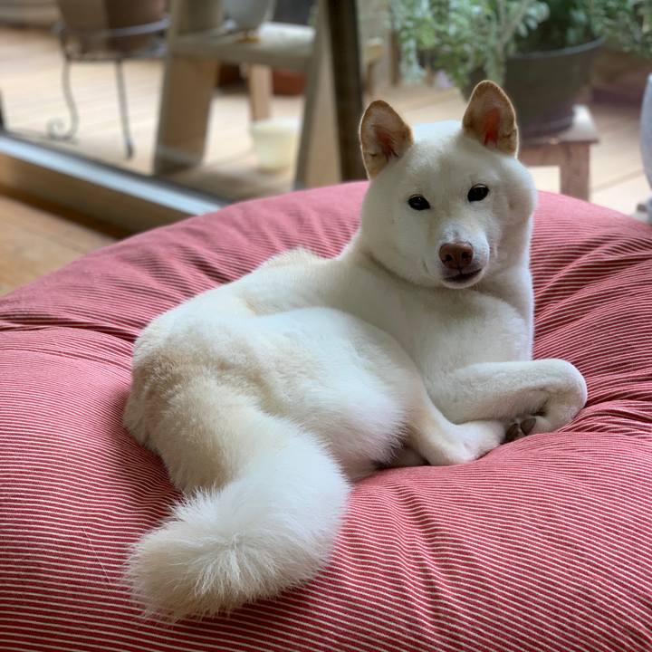 Abbc3d64 6d4a 4130 a526 015df84658fb 1625275354068