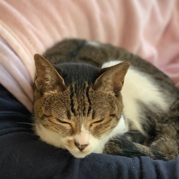 Abbc73af 4452 4c3b 9162 54ed80826c0f 1603330699574